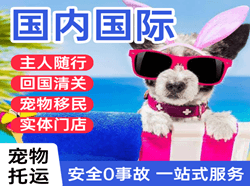 徐州航空货运国际宠物托运 【国